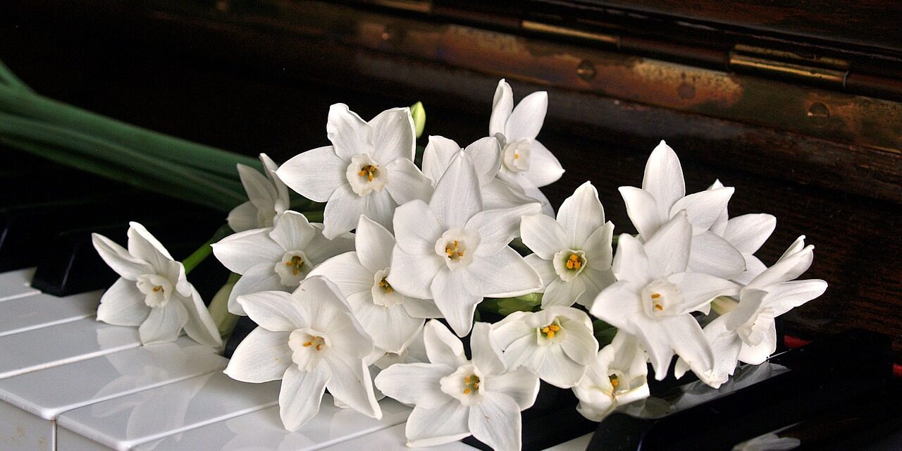 pianista para bodas Alicante